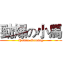 勁爆の小馬 (Habile Gaming)