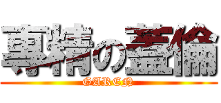 專精の蓋倫 (GAREN)