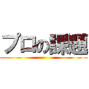 プロの課題 ()