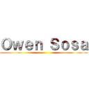 Ｏｗｅｎ Ｓｏｓａ ()