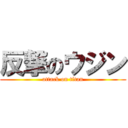 反撃のウジン (attack on titan)