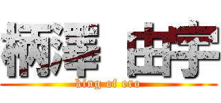 柄澤 由宇 (king of ero)