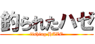 釣られたハゼ (fishing HAZE)