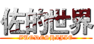 佐的世界 (ZUODESHIJIE)