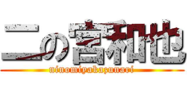 二の宮和也 (ninomiyakazunari)