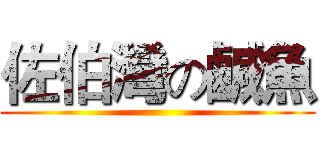 佐伯灣の鹹魚 ()
