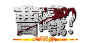 曹曦宁 (CAIN)