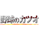 野球のカツオ (attack on titan)