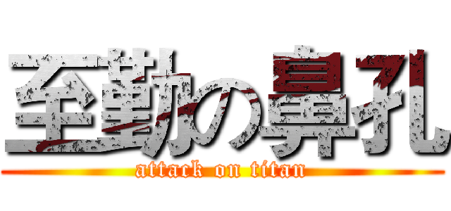 至勤の鼻孔 (attack on titan)
