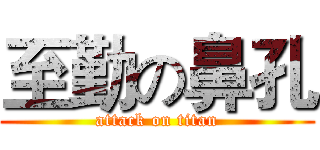 至勤の鼻孔 (attack on titan)