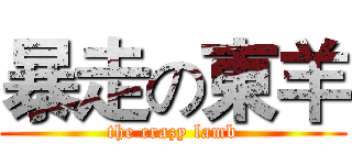 暴走の東羊 (the crazy lamb)