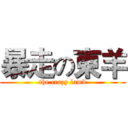 暴走の東羊 (the crazy lamb)