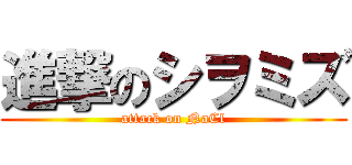 進撃のシヲミズ (attack on NaCl)