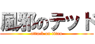 風邪のテッド (attack on titan)