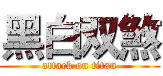 黑白双煞 (attack on titan)