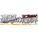 進撃の冠群 (attack on titan)