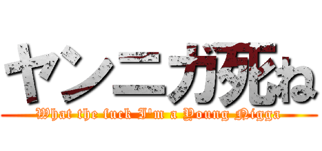 ヤンニガ死ね (What the fuck I'm a Young Nigga)