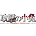 攻擊の小兔 (attack on titan)