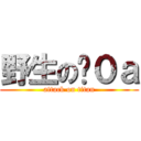 野生の洨０ａ (attack on titan)