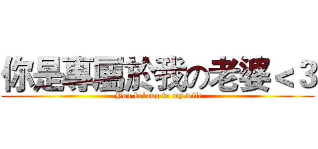 你是專屬於我の老婆＜３ ( You belong to my wife)