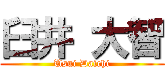 臼井 大智 (Usui Daichi)