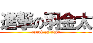 進撃の羽金太 (attack on titan)