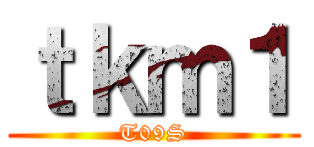 ｔｋｍ１ (T09S)