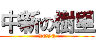 中新の樹里 (LOVE)