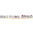 Ｍａｔｔｈｉｅｕ Ａｍｅｄｅｅ (Matthieu Amédée)