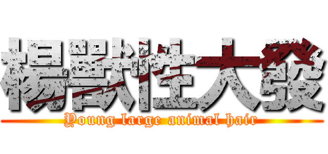 楊獸性大發 (Young large animal hair)