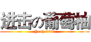 进击の葡萄柚 (Yeah 084神)