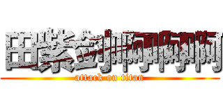 田紫剑啊啊啊 (attack on titan)