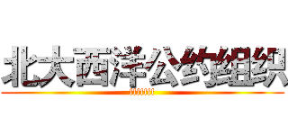 北大西洋公约组织 (fffffff)