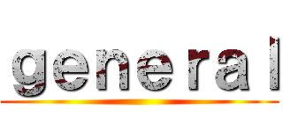 ｇｅｎｅｒａｌ ()