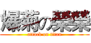 爆菊の榮榮 (attack on titan)