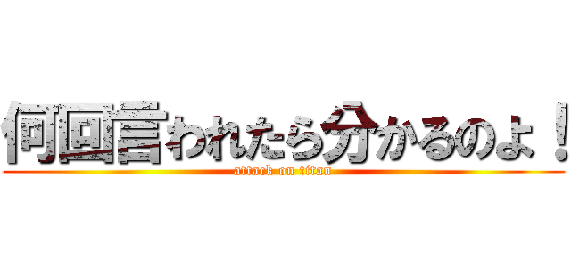 何回言われたら分かるのよ！ (attack on titan)