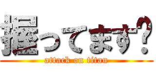 握ってます🍣 (attack on titan)