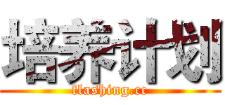 培养计划 (flashing.cc)
