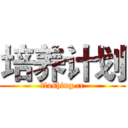 培养计划 (flashing.cc)