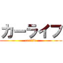 カーライフ (carlife)