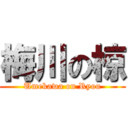 梅川の椋 (Umekawa on Ryou)