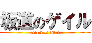 坂道のゲイル (attack on titan)