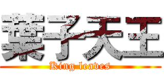 葉子天王 (King leaves)
