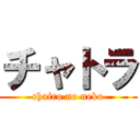 チャトラ (chairo no neko)