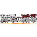 藤澤の藤澤 (asoko)