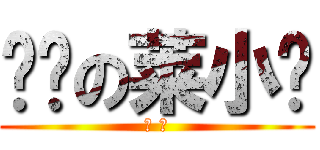 进击の莱小维 (→ →)