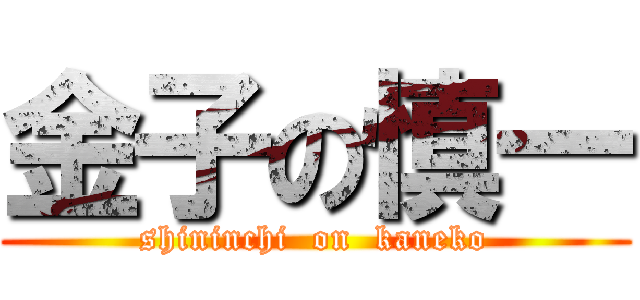金子の慎一 (shininchi  on  kaneko)