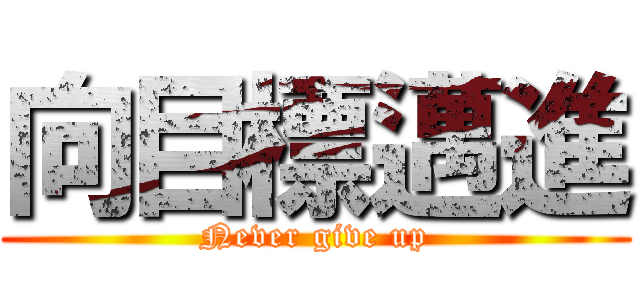 向目標邁進 (Never give up)