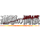 進撃の惆悵 (attack on melancholy)