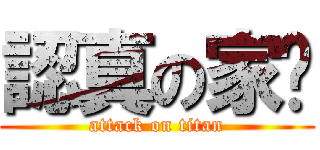 認真の家伙 (attack on titan)